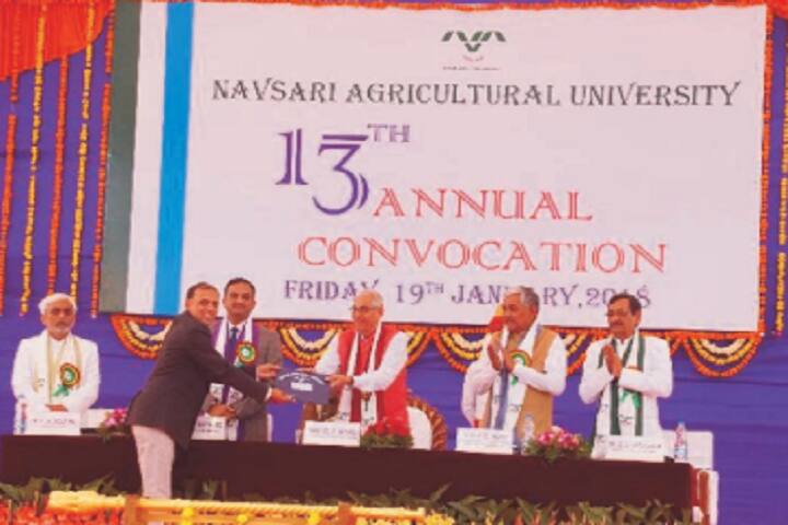 College of Agriculture, Bharuch campus photo 5