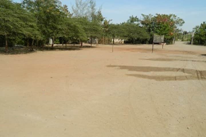 Savitribai College of Arts, Pimpalgaon Pisa campus photo 3