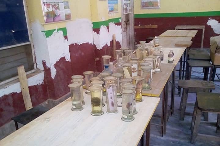 Shri Haridutt Degree College, Bharatpur campus photo 5