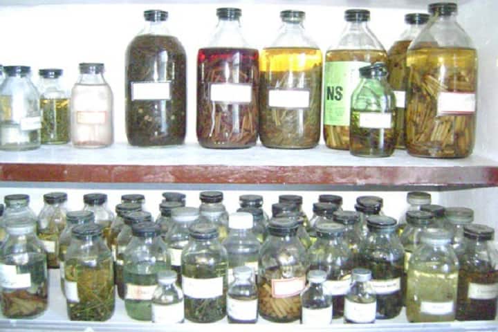 Maharaja Agrasen PG College, Bharatpur campus photo 2