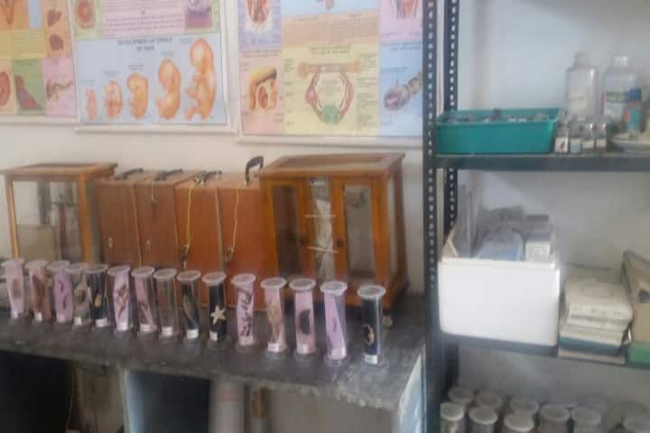 Mahakoshal College of Science, Seoni campus photo 3
