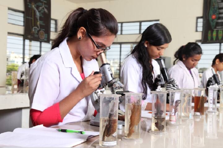 East West First Grade College of Science, Bangalore campus photo 2