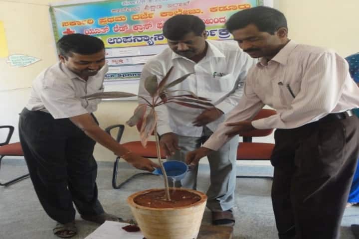 Government First Grade College, Kadur campus photo 4