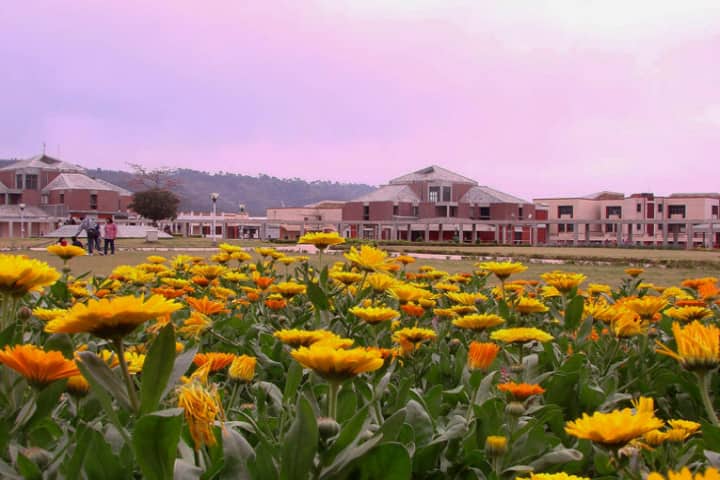 SMVDU Katra campus photo 5