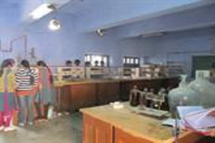 Government College, Rajgarh campus photo 3