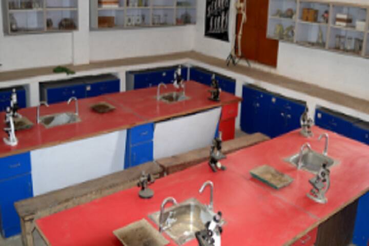 Anup Lal Yadav College, Supaul campus photo 6