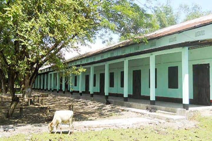 Tamulpur Degree College, Baksa campus photo 3
