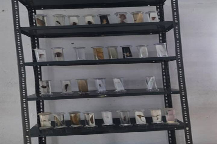 Govindam Mahavidyalaya, Sikar campus photo 5