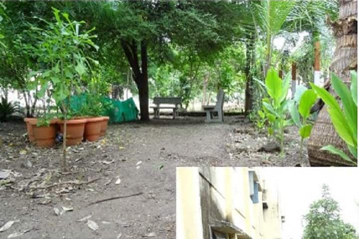 Toshniwal Arts Commerce and Science College, Sengaon campus photo 2