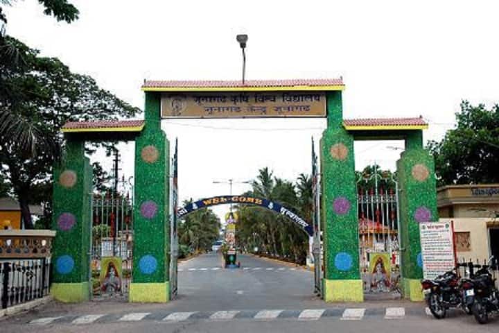 JAU Junagadh campus photo 4