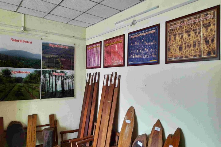 NM College of Agriculture, Navsari campus photo 3