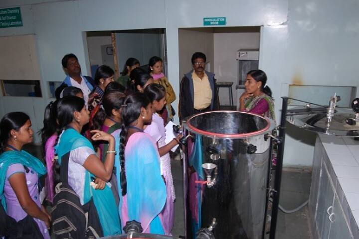 Rayat Shikshan Sanstha's Yashwantrao Chavan Mahavidyalaya, Pachwad campus photo 4