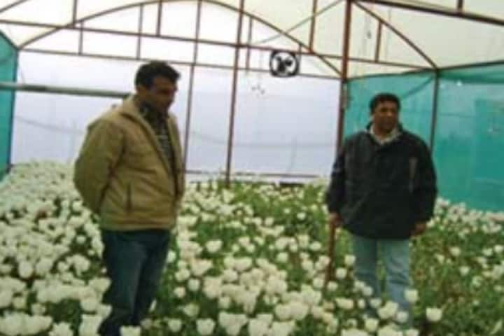 SKUAST Kashmir campus photo 4
