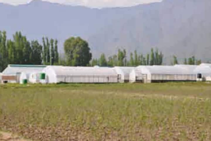 SKUAST Kashmir campus photo 2