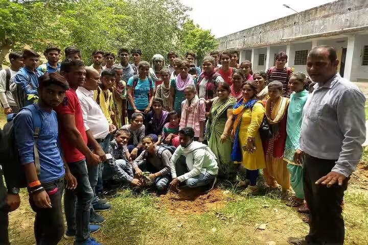 Swargiya Rajesh Pilot Government College, Bandikui campus photo 6