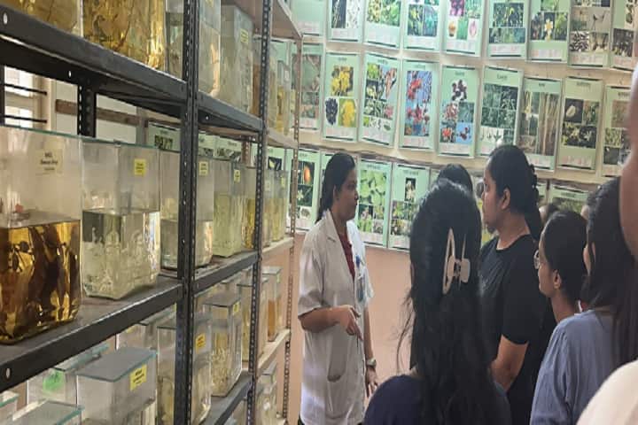 Rita A Patel Institute of Physiotherapy, Vallabh Vidyanagar campus photo 6