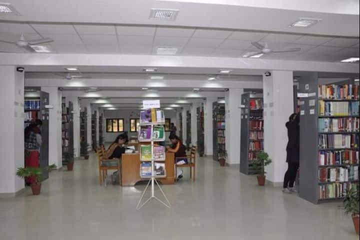 Banasthali Vidyapith, Banasthali campus photo 6