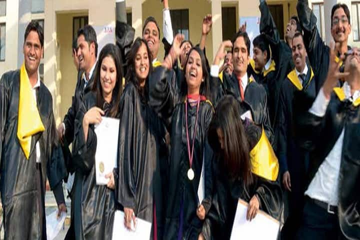 IBS Jaipur campus photo 4