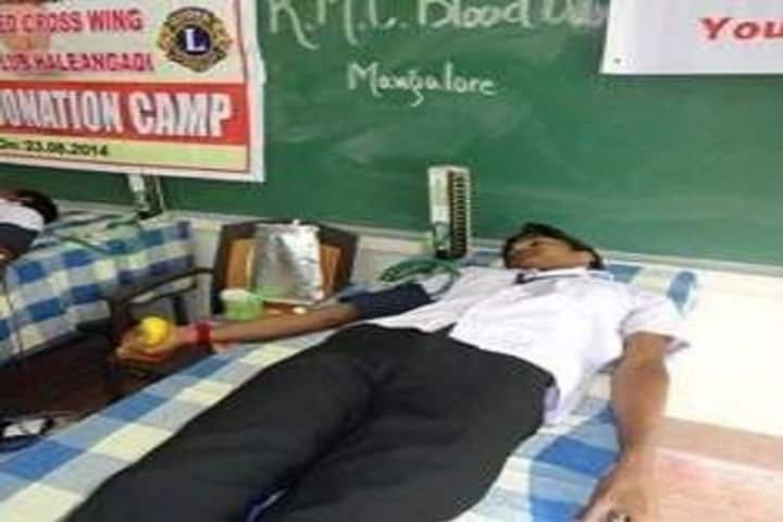 Government First Grade College, Haleangadi campus photo 4