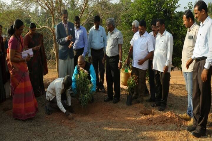 Government First Grade College, Haleangadi campus photo 6