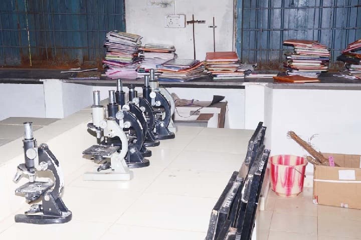Government NCJ College, Dallirajhara campus photo 3
