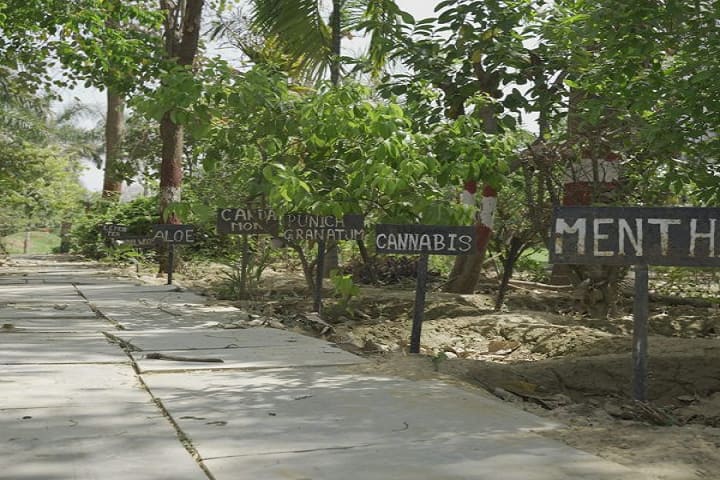 Krishnarpit Institute of Law, Prayagraj campus photo 3