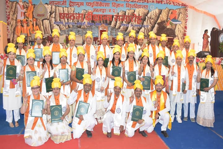 College of Veterinary Science and Animal Husbandry, Jabalpur campus photo 4