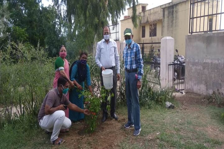 SD Government College, Beawar campus photo 4