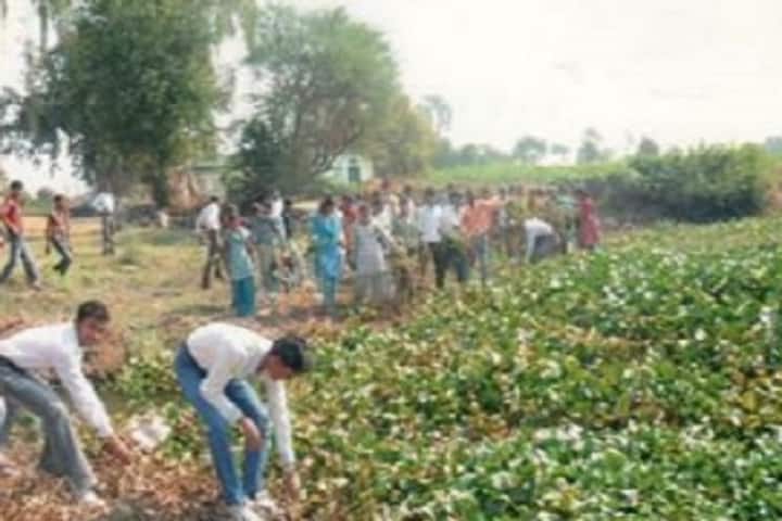 Shri Govind Guru Government College, Banswara campus photo 6