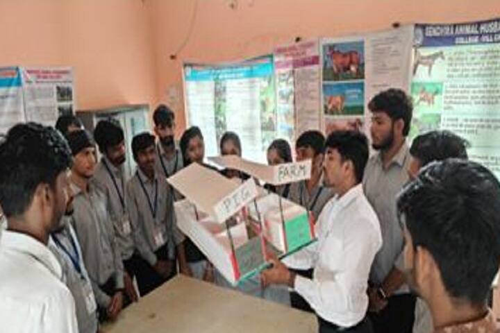 Sendhwa Animal Husbandry Diploma College, Barwani campus photo 3