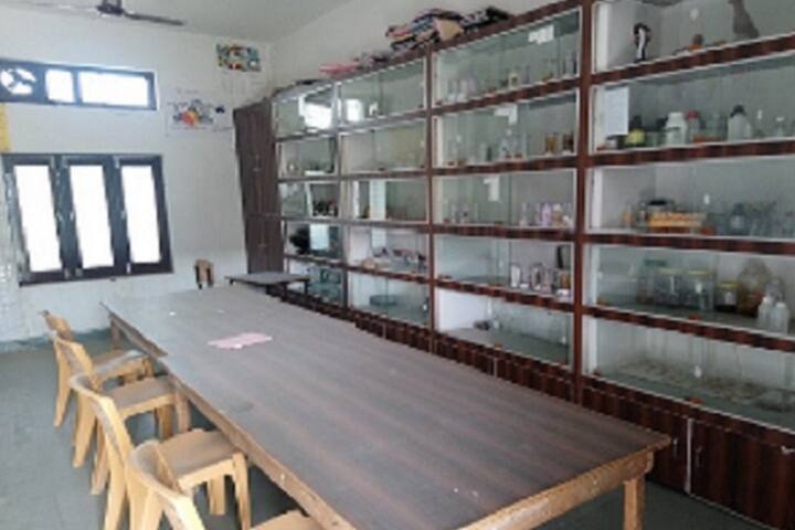Maharshi Dayanand PG Girls College, Raisinghnagar campus photo 4