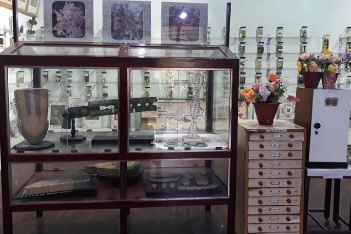 KBN College, Vijayawada campus photo 5