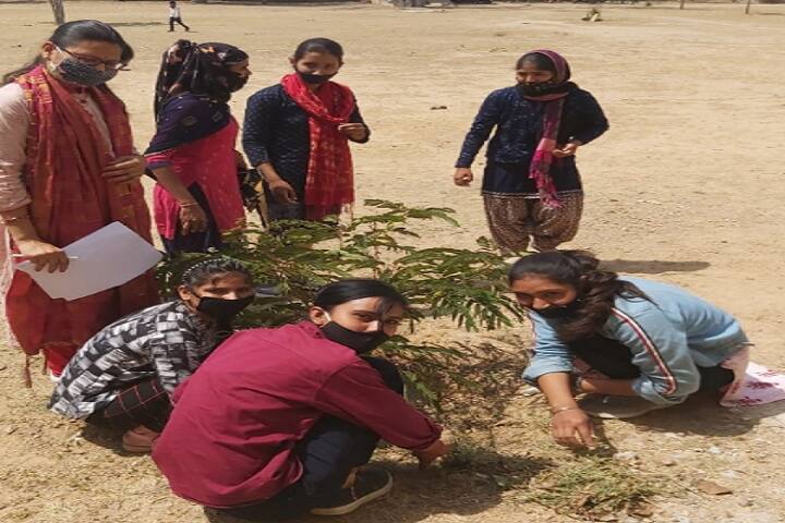 Government Girls College, Sikandra campus photo 3