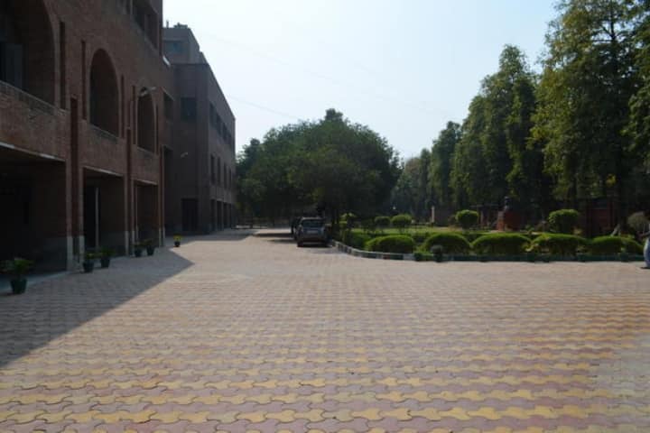 MSIT Delhi campus photo 6