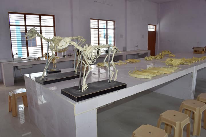 Janta Institute of Veterinary Science, Butana campus photo 5