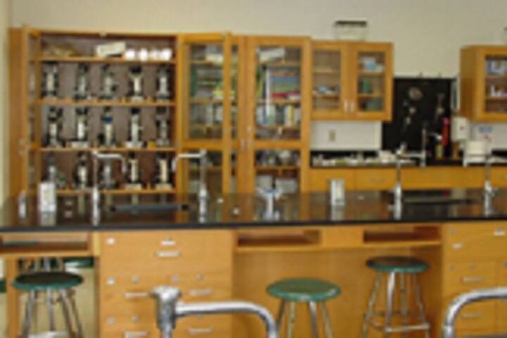 Adarsh College of Education, Jhajjar campus photo 3