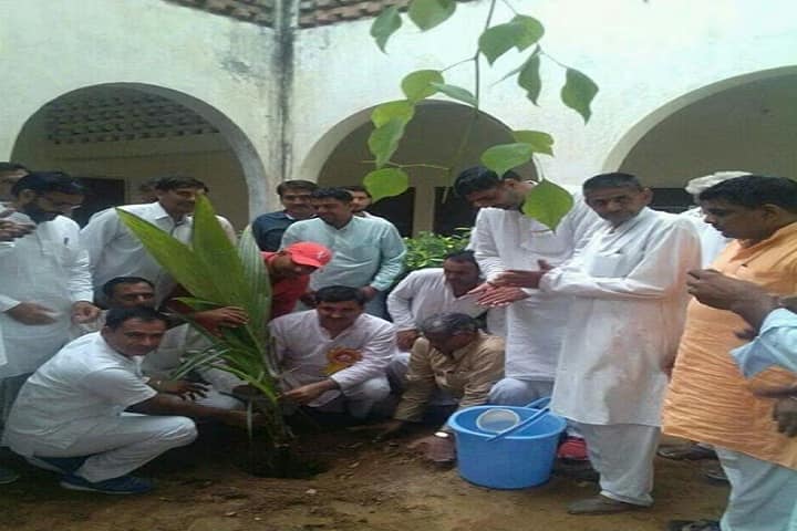 SD College of Education, Bhiwani campus photo 6