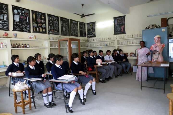 Roorkee Adventist College, Roorkee campus photo 6