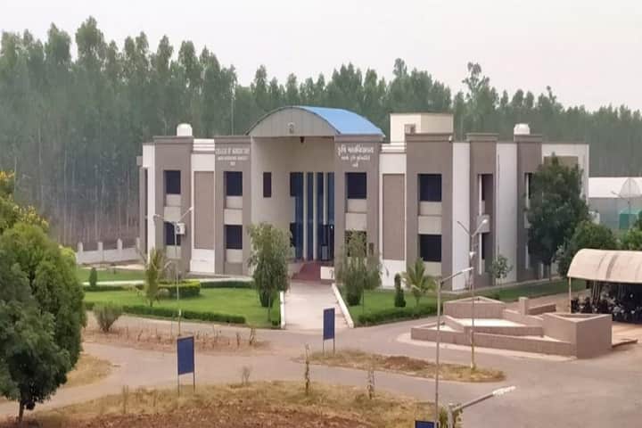College of Agriculture, Anand Agricultural University, Vaso campus photo 2