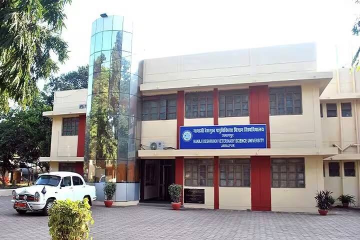 Nanaji Deshmukh Veterinary Science University, Jabalpur campus photo 5