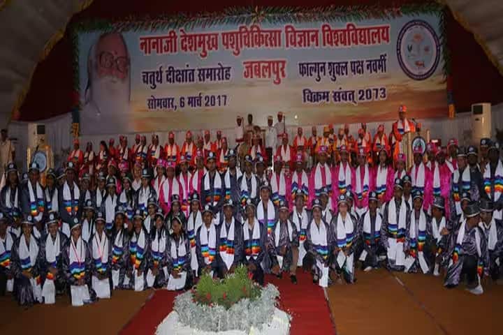 Nanaji Deshmukh Veterinary Science University, Jabalpur campus photo 6