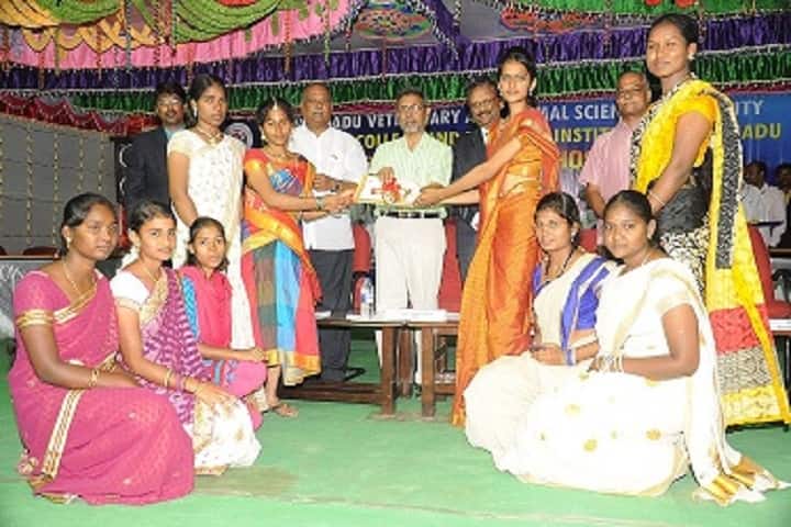 Veterinary College and Research Institute, Orathanadu campus photo 3