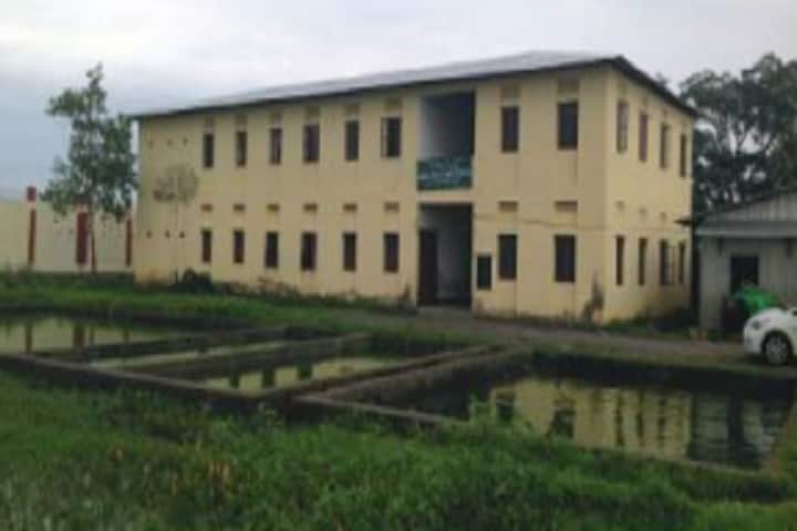 The Modern College, Imphal campus photo 6