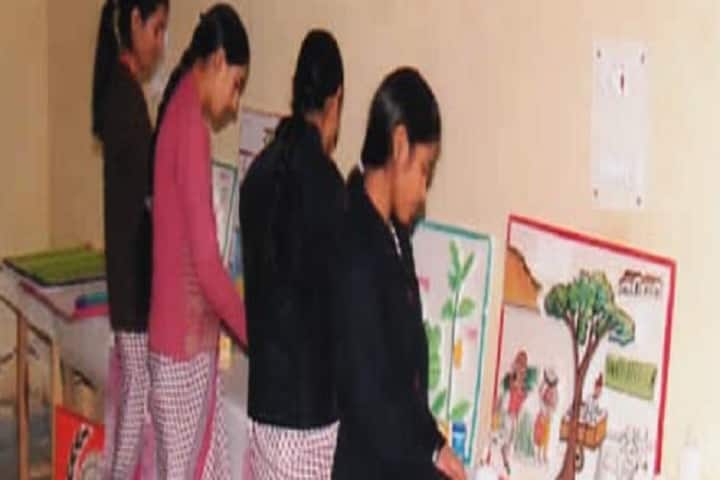 Sharma Modern Mahila Teacher's Traning College, Alwar campus photo 2