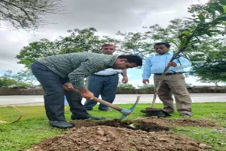 Samrat Prithviraj Chauhan Government College, Bhim campus photo 4