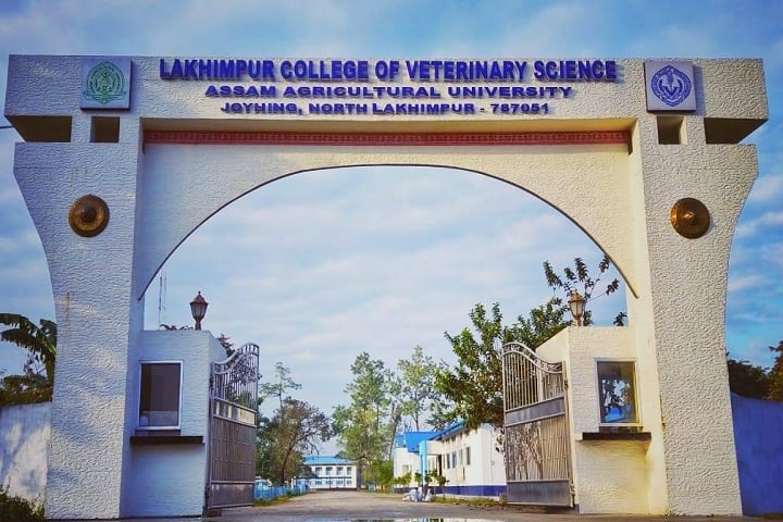 Lakhimpur College of Veterinary Science, Lakhimpur campus photo 2