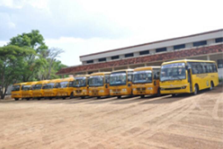 Pioneer College of Arts and Science, Coimbatore campus photo 6