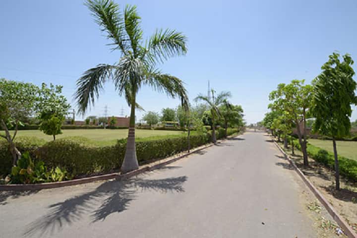 Marwar Shikshak Prashikshan Mahavidyalaya, Jodhpur campus photo 2