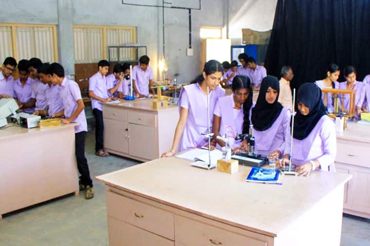 Mount Seena College of Arts and Science, Palakkad campus photo 5