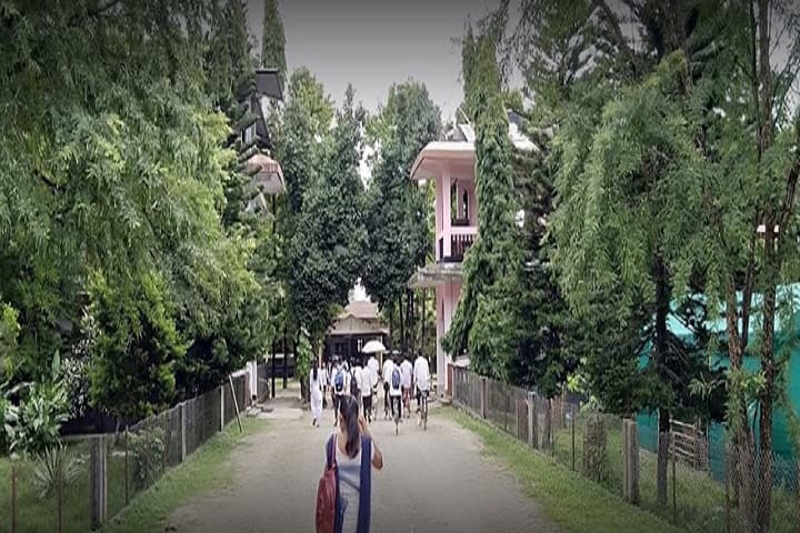 Simen Chapari College, Dhemaji campus photo 2